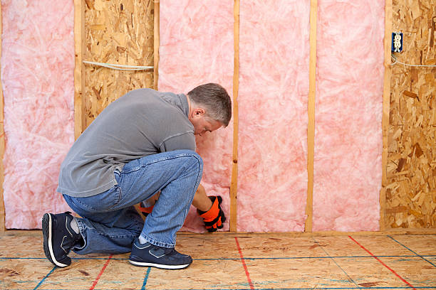 Best Best Insulation Companies  in Sulligent, AL