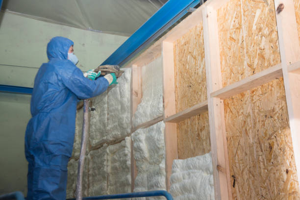 Best Spray Foam Insulation  in Sulligent, AL